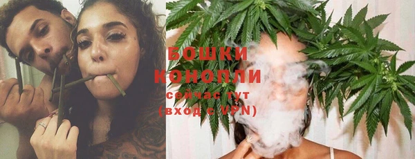 соль курить ск Сясьстрой