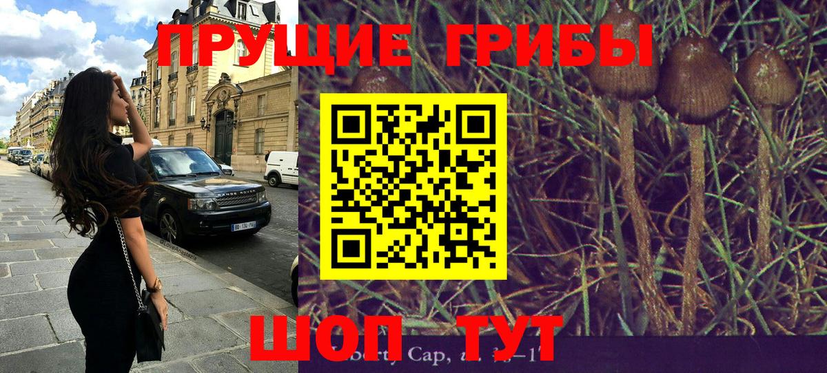 Верхняя Пышма  где найти   Галлюциногенные грибы прущие грибы  Вход с VPN  Псилоцибиновые грибы GOLDEN TEACHER 
