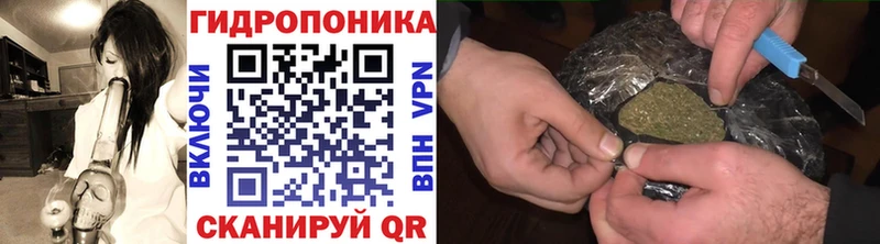 Каннабис план  hydra ссылки  Верхняя Пышма 